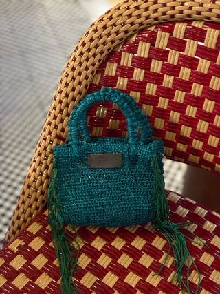 CHIQUIMINI CON FLECOS